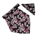 VOICI France Mens Paisley Cravat ascot NeckTie Pocket Square Microfiber Fabric Free Size