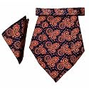 VOICI France Mens Paisley Cravat ascot NeckTie Pocket Square Microfiber Fabric Free Size