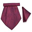 VOICI France Mens Paisley Cravat ascot NeckTie Pocket Square Microfiber Fabric Free Size