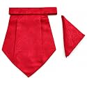 VOICI France Mens Paisley Cravat ascot NeckTie Pocket Square Microfiber Fabric Free Size