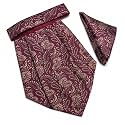 VOICI France Mens Paisley Cravat ascot NeckTie Pocket Square Microfiber Fabric Free Size