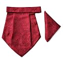 VOICI France Mens Paisley Cravat ascot NeckTie Pocket Square Microfiber Fabric Free Size