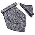 VOICI France Mens Paisley Cravat ascot NeckTie Pocket Square Microfiber Fabric Free Size