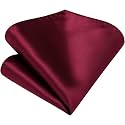 VOICI France - Premium Pocket Square microfiber Men Satin Wedding Handkerchief Pocket Square (P MAROON)