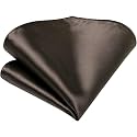 VOICI France - Premium Pocket Square microfiber Men Satin Wedding Handkerchief Pocket Square