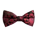 VOICI Men's Velvet &amp; Satin oversized Bow &amp; Pocket Square Tie Black Color Free Size best for Tuxido dinner jackets