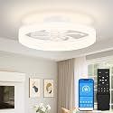 VOLISUN Low Profile Ceiling Fans with Lights