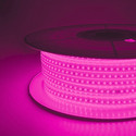 Volt Vision 1200 LEDs 10 m Pink Steady Strip Rice Lights