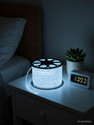 Volt Vision 1200 LEDs 20 m Transparent Steady Strip Rice Lights