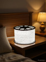 Volt Vision 1200 LEDs 20 m White Steady Strip Rice Lights