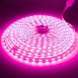 volt vision 1200 leds 5 m pink steady strip rice lights