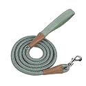 Voyager by Best Pet Supplies Round Rope Reflective Dog Leash - Soft Neoprene Handle & Tangle-Free Hook - Heavy Duty, Strong Durable Lead for Large/Medium/Small Dogs - Moss Green, 3/8” x 5'