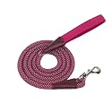 Voyager by Best Pet Supplies Round Rope Reflective Dog Leash - Soft Neoprene Handle & Tangle-Free Hook - Heavy Duty, Strong Durable Lead for Large/Medium/Small Dogs - Burgundy, 1/2” x 6'
