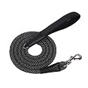 Voyager by Best Pet Supplies Round Rope Reflective Dog Leash - Soft Neoprene Handle & Tangle-Free Hook - Heavy Duty, Strong Durable Lead for Large/Medium/Small Dogs - Black, 1/2” x 6'