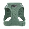Voyager Step-in Air Dog Vest Harness - Moss Green, X-Large