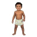 VParents Padded Underwear for Babies and Toddlers with 3 Layers of Cotton Padding Potty Training Pull Up &amp; Diaper-Free Time (2-3 years) Lion, 1 count