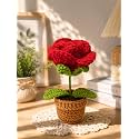 VRB Dec Plastic TM 1 Pcs Crochet