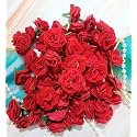 VRB DecTM 50 Pcs Artificial Fabric Rose