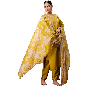 VredeVogel Kurta Set with Dupatta Embroidered