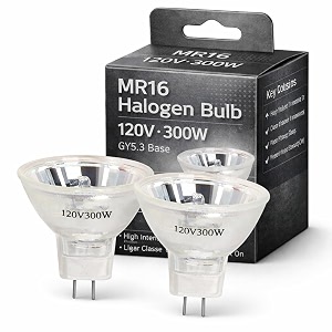ELH Projector Bulbs 2 Pack 120V 300W