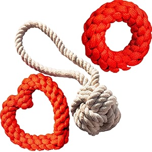 attractive cotton poly mix durable chew twisted rope handle ball ring heart dog toys for teething suitable for small medium puppies and adult dogs