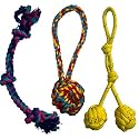 Dog Bite Toy for Small to Medium Dogs - Dog Chew Toys - Puppy Teething Toys - Rope Toys (Pack of 3)