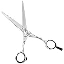 Wahl Ergo Offset Sliders Hair Cutting Scissors, Silver, 6" (WSERGOO60)