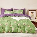 Wake In Cloud - Floral Comforter Set, Cottagecore Cottage Rustic Farmhouse Style with Botanical Flowers and Leaves Pattern, Soft Lightweight Bedding, 3-Piece, Green Purple, Queen Size