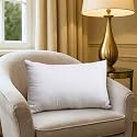 Wakefit Cushion | Pack of 2 | 12x18 Inch | Hollow Fiber Filling | Use with or Without Cover | for Sofa &amp; Bed | Gentle Machine Wash | White