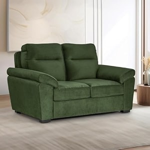 wakefit sofa set  5 year warranty  sofa 2 seater 2 seater sofa for living room wooden sofa set couch sofa for living room - lounger plusreflection  green
