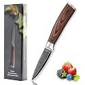 Wakoli EDIB Damascus Paring Knife, 3.2-Inch VG10 Core Stainless Steel Blade