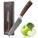 Wakoli EDIB Small Santoku Knife, 4.7-Inch Damascus Santoku Kitchen Knife