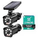 WALI Solar Powered Fake Camera with Motion Sensor Floodlight, 2 Pack, Black