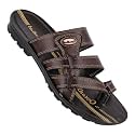 WALKAROO WG1426 Mens Casual and Regular Wear