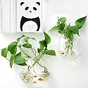 Wall Fish Tank Hanging Wall Fish Bowl 2pcs Acrylic Clear Wall Mounted Fish Bowl Betta Tank Aquarium for Home Wall Decor Plants