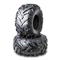 WANDA 2 Sport ATV Mud Tire 22x10-9 6PR for Honda Recon 250 Suzuki Ozark 250