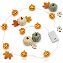 Wanna Party Halloween Pumpkin LED String Lights - 6 Feet | Battery Operated Orange Pumpkin Lights for Indoor &amp; Covered Outdoor Halloween Decorations, Party Backdrop, Window, Door &amp; Home Décor