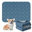 FunFurry Washable Pee Pads for Dogs - 2 Pack Reusable Pee Pads，Waterproof Puppy Pads，Pet Training Pads，Super Absorbent with Dog Paw Shape Non-Slip Backing (Blue, 18" X 24" - 2 Pack)