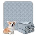 FunFurry Washable Pee Pads for Dogs - Reusable, Waterproof, Super Absorbent with Non-Slip Backing (Light Grey, 24" X 24" - 2 Pack)