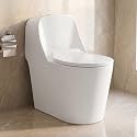 WASSMIST Commode Toilet Floor Mount One