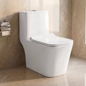 WASSMIST Commode Toilet Floor Mount One