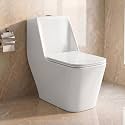WASSMIST Commode Toilet One Piece Western