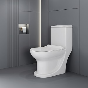 WASSMIST Western Toilet for Bathroom - Modern