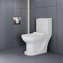 WASSMIST Western Toilet for Bathroom Modern