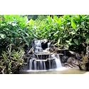 Waterfall Aquarium Background Garden Style Lush Green Plants Terrarium Backgrounds Cascading Falls Stream Jungle Rocks Fish Tank Background Garden View Landscape Reptile Tank Backgrounds 30x12in