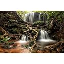 Waterfall Aquarium Background Jungle Forest Lake Stream Natural Landscape Fish Tank Background Tropical Plants Huge Rock Terrarium Backgrounds Jungle Old Trees Falls Aquarium Tank Backgrounds 36x24in