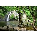 Waterfall Aquarium Background Jungle Forest Lake Stream Natural Landscape Terrarium Backgrounds Tropical Plants Rocks Fish Tank Background Jungle Trees Garden Style Reptile Tank Backgrounds 30x18in