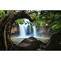 Waterfall Aquarium Background Jungle Forest Lake Stream Natural Landscape Fish Tank Background Tropical Plants Huge Rock Terrarium Backgrounds Jungle Old Trees Falls Reptile Tank Backgrounds 36x18in