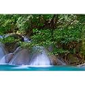 Waterfall Aquarium Background Jungle Forest Stream Fish Tank Background Rock Falls Green Trees Reptile Tank Backgrounds Natural Waterfall Forest Landscape Aquarium Backgrounds Wallpaper 48x20in