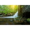 Waterfall Aquarium Background Jungle Forest Stream Fish Tank Background Cave with Lush Green Forest Trees Rocks Falls with Sunbeams Natural Landscapes Reptile Tank Enclosure Backgrounds 24x12in